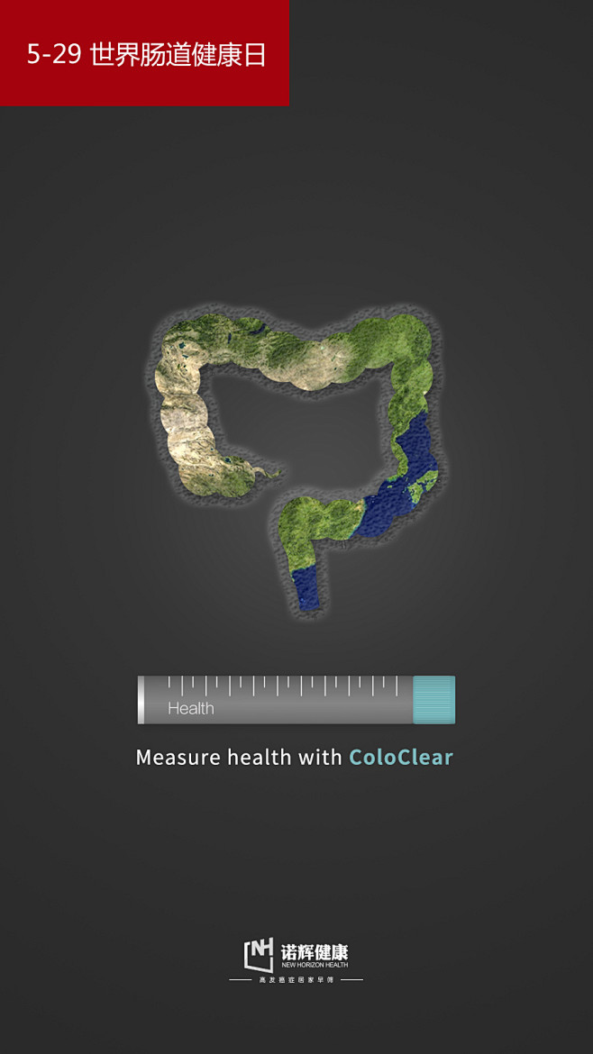 世界肠道健康日海报