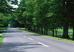 mn……采集到道路景观