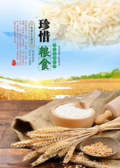 农作物珍惜节约粮食公益海报