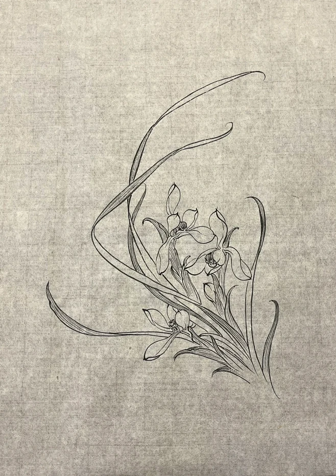 国画：白描练习（3）