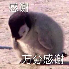 表情包 万分感谢