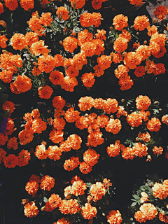 加班再见采集到素材-Unsplash-pexels