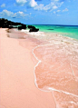 世上独一无二的粉色沙滩 巴哈马哈勃岛东侧的Pink Sands Beach[花心]（转）