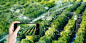 绿色科技农业发展展板背景下载 - 觅知网