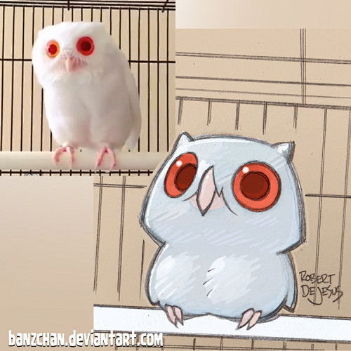 Owl reference.