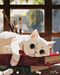 猫猫