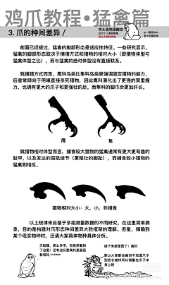 普通人干事采集到G---怪X动物