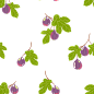 复古清新水果植物柠檬樱桃蓝莓背景印花免抠PNG元素 AI矢量素材 (14)