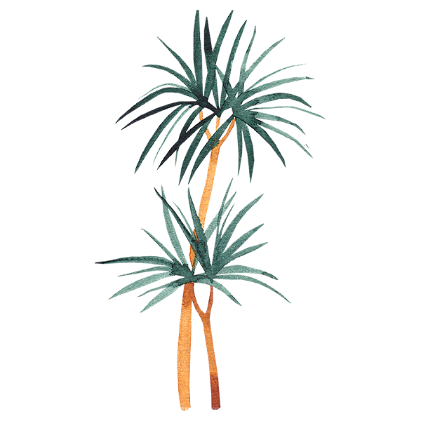 乐分享-PNG免扣素材 (9)