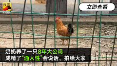 “妳”………采集到xinwen