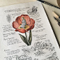 This custom journal page request was such a wonderfully creative project to work on, breaking down the folk tale character Thumbelina or "Tommelise" as she was named in danish, into scientific field notes. We took every reference from the origin