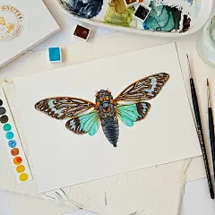 水彩昆虫插画