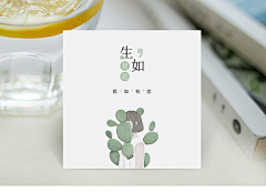冰指温柔采集到Refrear