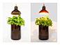 Reusing Glass Bottles to Make Lamps: UTREM LUX by Degross Design in home furnishings  Category
