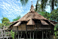 Gawai Special Package in Sarawak : Malaysia Asia travel blog about tourism, aviation, bird watching, scuba diving, Ecotourism, hotels, resorts, and music festivals.