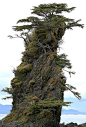 r0mance-is:
“ Natural Bonsai, Landscape, Sitka, Alaska by dailyartmasomenos on Flickr.
”