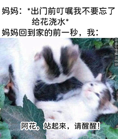 SamZhang233采集到奇特的相册