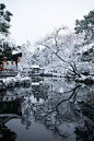 幽兴随雪来，尘心逐雪销。@空谷寻芳