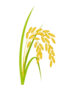 CountAngel采集到厨房果蔬食物元素