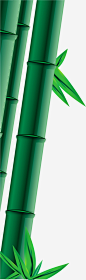 绿色竹子竹叶端午节装饰-觅元素51yuansu.com png设计元素
