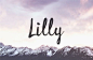 手绘草书英文产品包装广告海报封面标题设计社交媒体字体素材 Lilly Free Brush Script Font