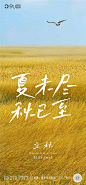 【南门网】 海报 二十四节气 立秋   秋天   飞鸟 草原 278522