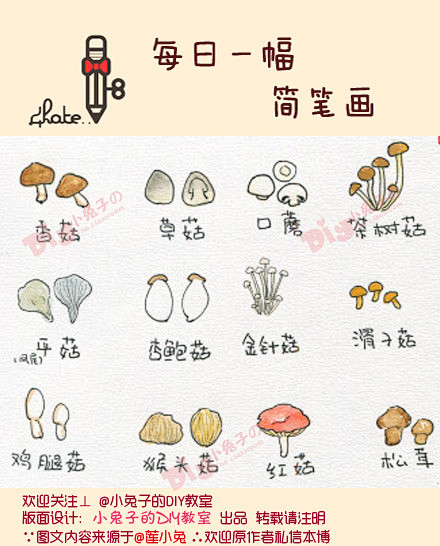 #每日一幅，简笔画#【常见的菌菇类】简笔...