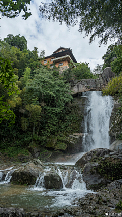 树蔚根深采集到建筑