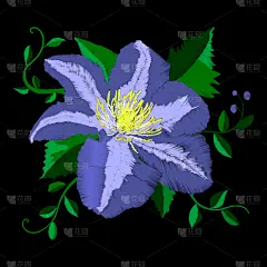 式样,角度,刺绣,蓝盆花,华丽的,传统,铁线莲,纺织品,简单,壁纸