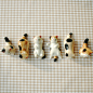陶瓷猫咪筷子架 小猫筷子托 一套 zakka 筷架 釉下彩 织女座
