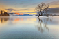 THAT TREE AGAIN : The famous lone tree in Lake Wanaka, New Zealand