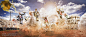 The OlympEggs : The OlympEggsA sport played on Chickenback. The objective is to score goals against other opponents and arrive first to the finish line. Players score by Collecting as much eggs as they could and not falling off the chicken.These are the o