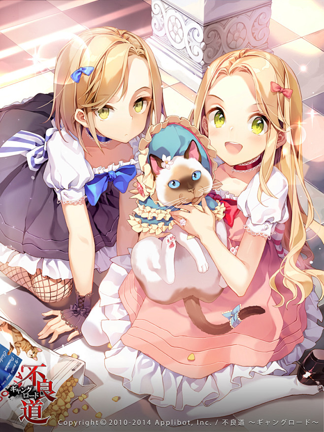双子の姉妹 [1]