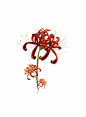 触漫号：3234F7C6，侵权致歉