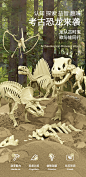 恐龙化石儿童手工diy考古挖掘玩具男孩女孩敲挖宝石蛋寻宝藏盲盒-tmall.com天猫
