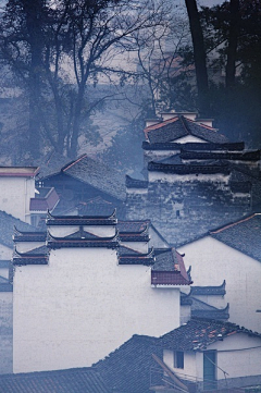 小匹特菲特采集到风景