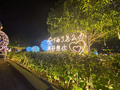 jojo0517采集到夜市