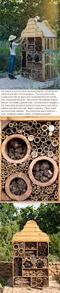 Insect hotel @ Babylonstoren, I want to see the garden that these bees pollinate!