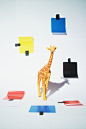 Giraffe Composition by Hardi Saputra on 500px