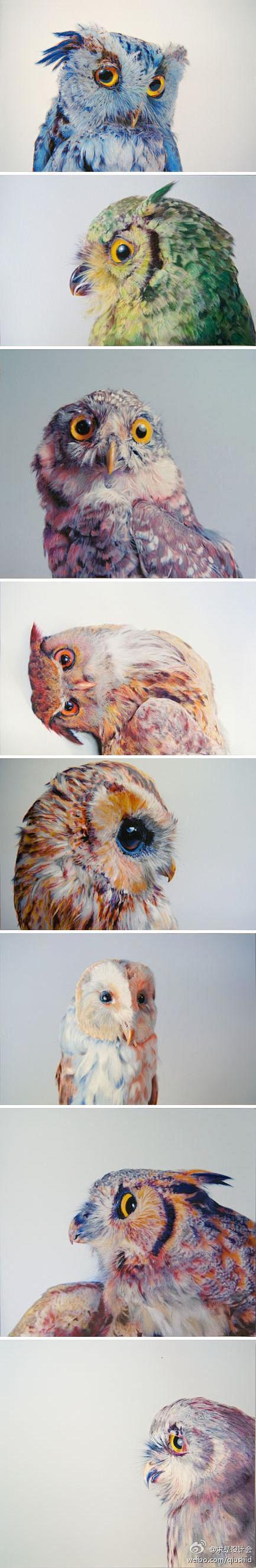 炫彩精美的猫头鹰绘画，来自John Pu...
