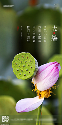 PPX皮皮虾采集到节日