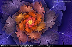 花朵抽象花朵鲜花花朵墙贴幻彩炫彩花朵浪漫花朵花朵装饰画花朵背景墙梦幻花朵花朵壁纸墙纸唯美花朵盛开绽放漂亮美丽花朵花纹图案花卉背景纹理分形花