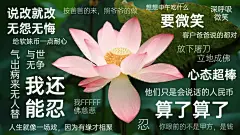 佛系莲花打工人专用电脑桌面壁纸