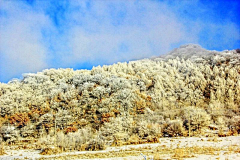 pumayze采集到冰雪松花湖