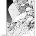 190_akira