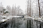 Photograph Winter in Hangzhou, West Lake (杭州, 西湖冬季) #08 ~ an appreciation of Chinese landscapes by Eddie Cheng on 500px