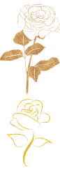 金玫瑰3