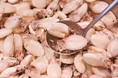 美味冻八爪鱼海鲜美食摄影图