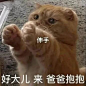 @西野信平