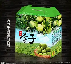 李子 青脆李 脆李 镇宁蜂糖李 镇宁 蜂糖李 李子包装 青脆李包装 脆李包装 李子包装设计 李子包装盒 青脆李包装盒 脆李包装盒 李子彩盒 青脆李彩盒 脆李彩盒 李子手提箱 青脆李手提箱 脆李手提箱 李子手提盒 青脆李手提盒 脆李手提盒 李子纸箱 青脆李纸箱 脆李纸箱 李子纸盒 李 李子彩箱 设计 广告设计 包装设计 AI